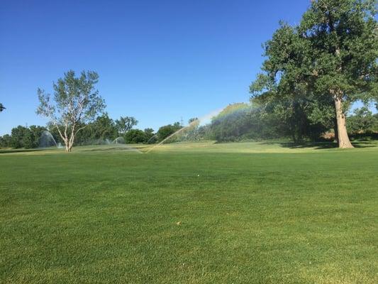 Only concern is the sprinkler still running while game is in play. I had to wait until it passed by ball to hurry and get a hit in