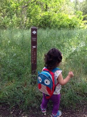 Nature walk on the Bellenger Trail