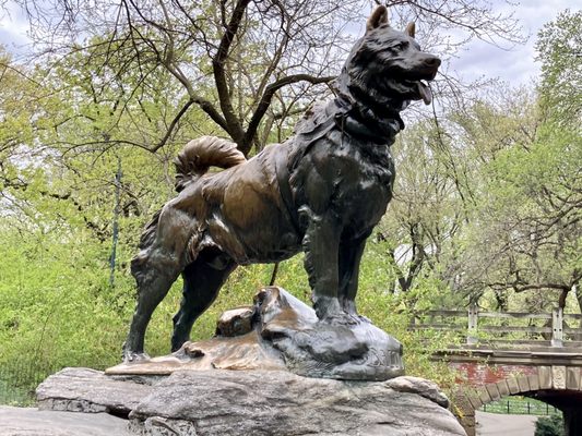 Balto photo taken 04/27/21