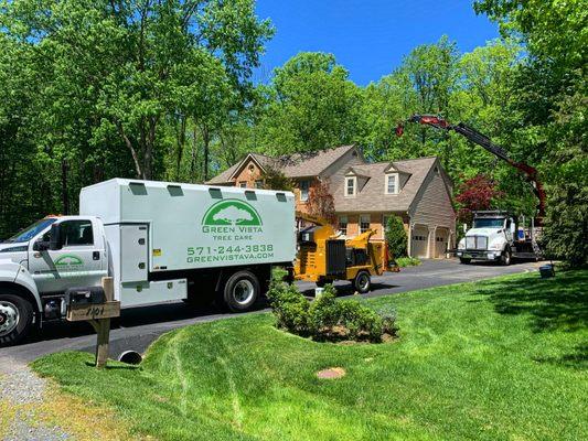 Green Vista Tree Care