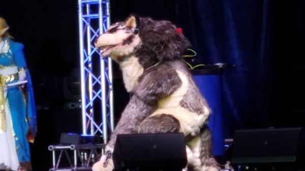 Cosplay Contest at Kawaii Kon