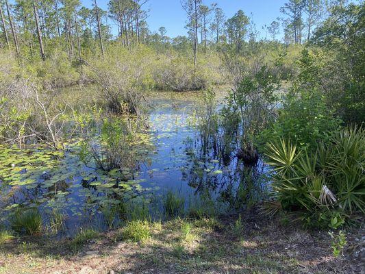 Hugh S Branyon Backcountry Trail