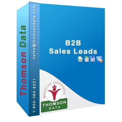 B2B Sales Leads