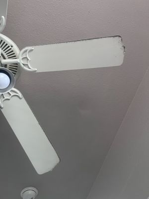 Dusty ceiling fan