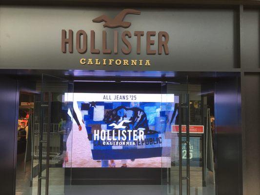 Hollister Co.