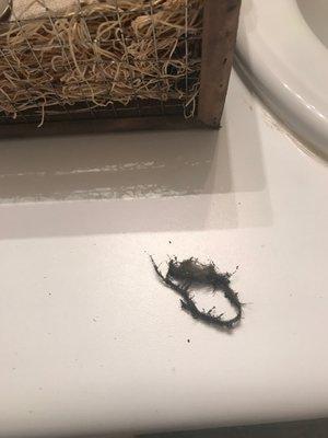 This was on my bathroom counter after they left. As I said, I'M ALLERGIC TO MOLD