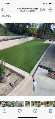 Synthetic lawn