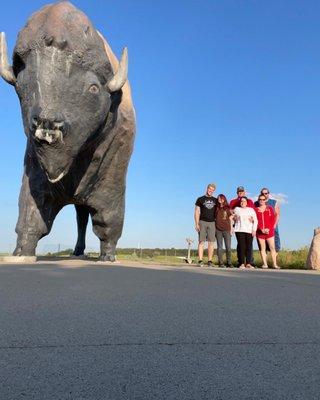 Bison statue