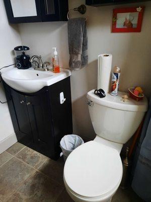 Old sink and commode