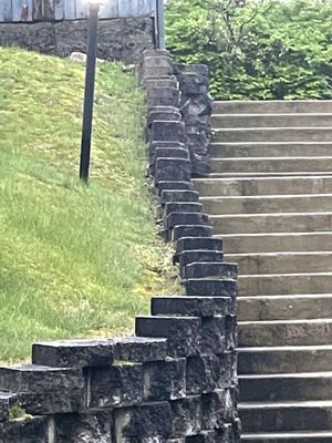 Mold on steps slippery and cracked