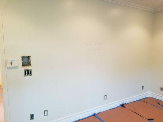 Ceiling & Wall Painting / Wallpaper Removal / Painting / Plaster & Drywall Services