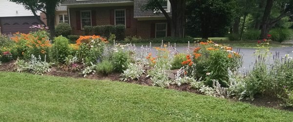 Deer do not touch any plants in this garden.