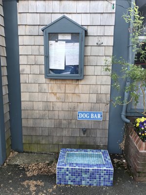 The Restaurant has A Dog Bar Stop for your pet to get some water. Shopping on Main St Chatham in Cape Cod