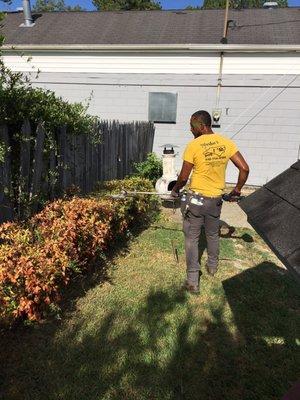 Marlon getting my bushes together