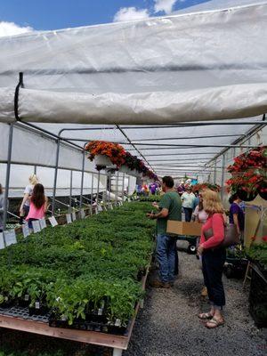 The greenhouses on Open House day.