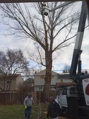 G&A Tree & Landscape Service