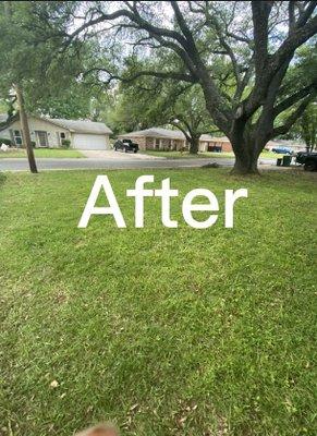 This is the photo taken after the front yard was cut by me.