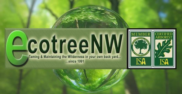 EcoTreeNW Licensed, Bonded and Insured. Family Owned and Operated out of Lynnwood since 1991