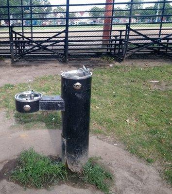 Water fountain on California Ave. side of Kelly Park - Very different from the fountains that I remember as a kid!