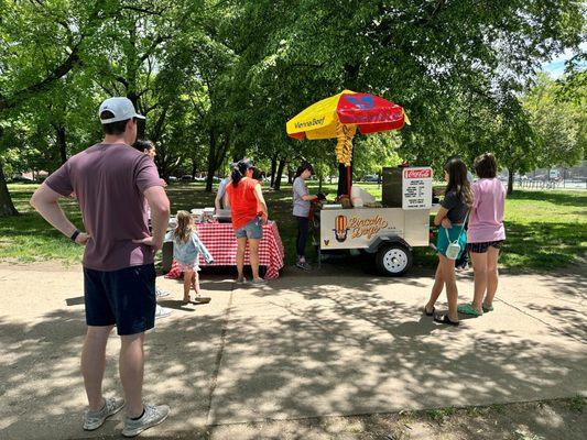 Lincoln Dogs in the park