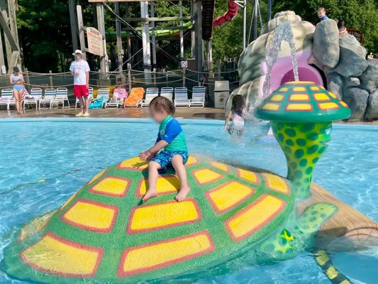 Turtle in Pirate's Cove wading pool