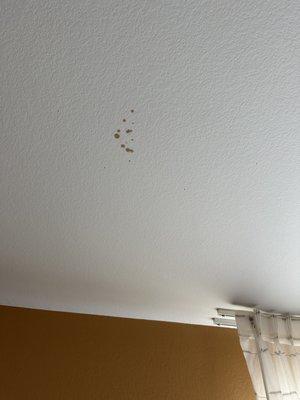 mystery splatter on ceiling