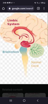 Healing From The Core Within