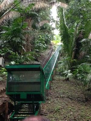 505 ft Funicular in Belize