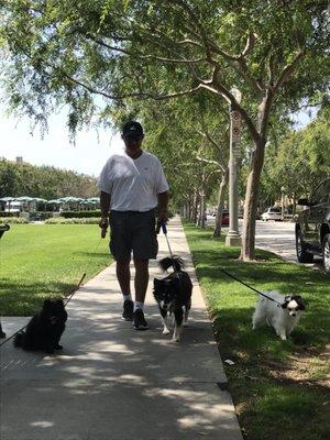 Steve with Tucker, Domino and Kit Kat