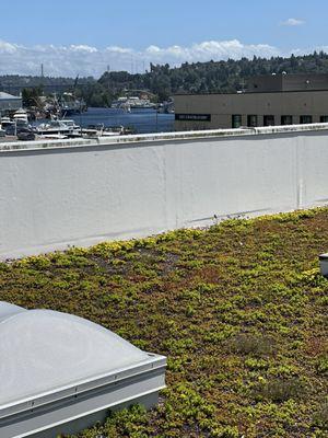 Rooftop views