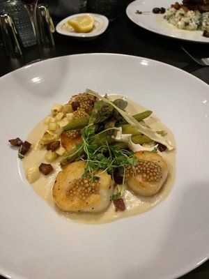 Pan Seared Sea Scallops