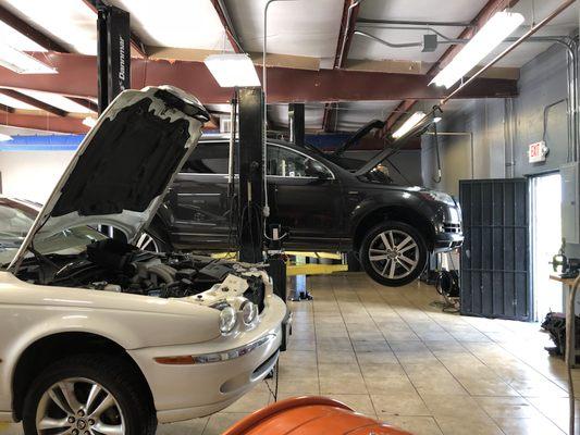 For all your car needs we here to help you!