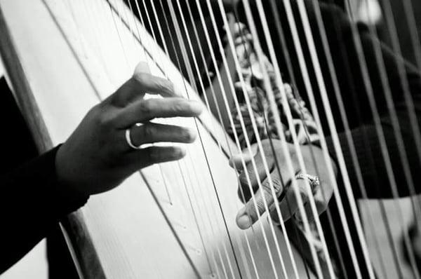 Harp fingers