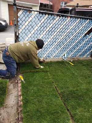 Sod installation