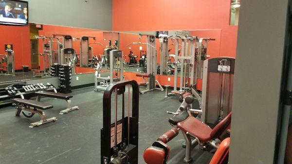 Great gym design setup and install!