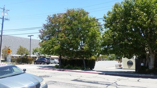 This is the parking area, every Thursday, a lady comes out and puts up cones and a chain. You know why?