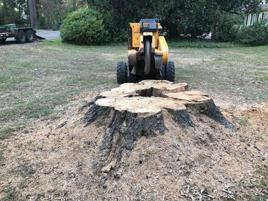 Millbrook, AL Stump Removal