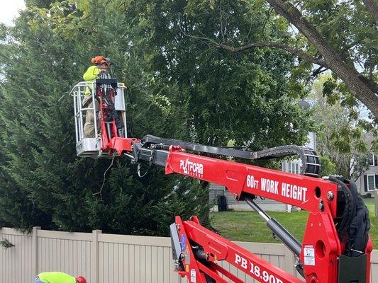 Tree service, Ariel Lift,