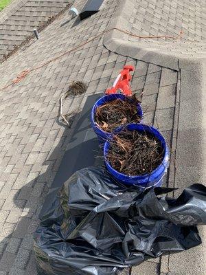 Gutter and roof debris collected