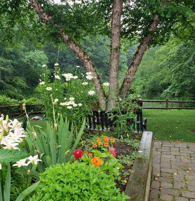 Summer resident garden