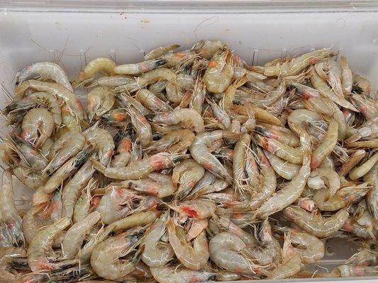 Shrimp $5.95 per pound.