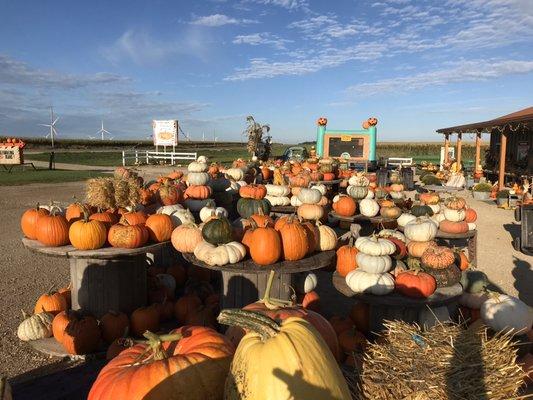 Pumpkins and Fireworks!