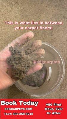 Dirt picked up from a vacuum pass.