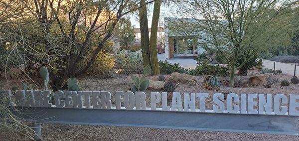 Desert Botanical Garden