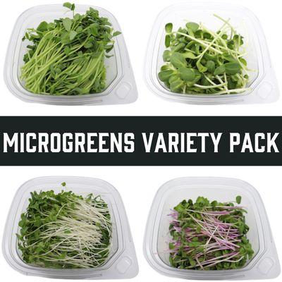 Salt Lake City Microgreens