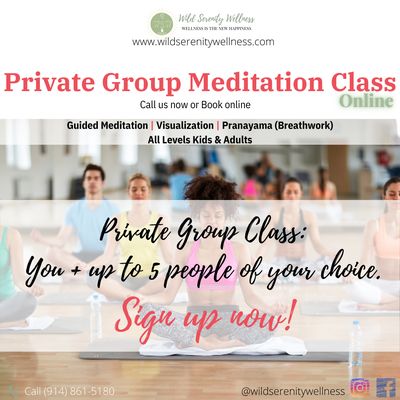 Private Group Meditation Class (Online class - 6 people max)