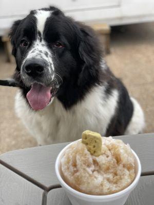 Doggie snow cone (this is with beef)