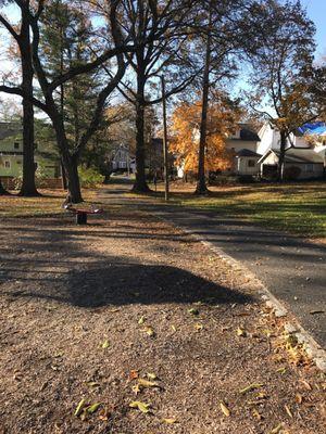 Hard to spot the park or signs from the street. The park entrance is between houses.