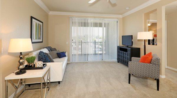 Living Room and Balcony