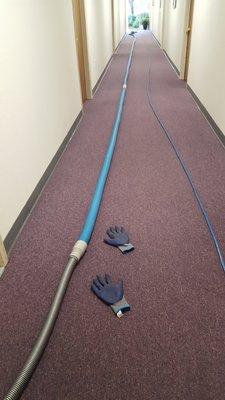 Steam Carpet Cleaning 1/2